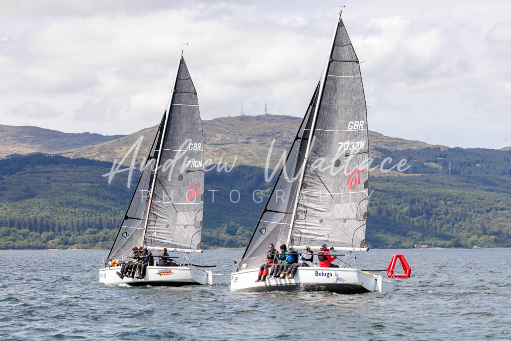 Beluga and Braveheart