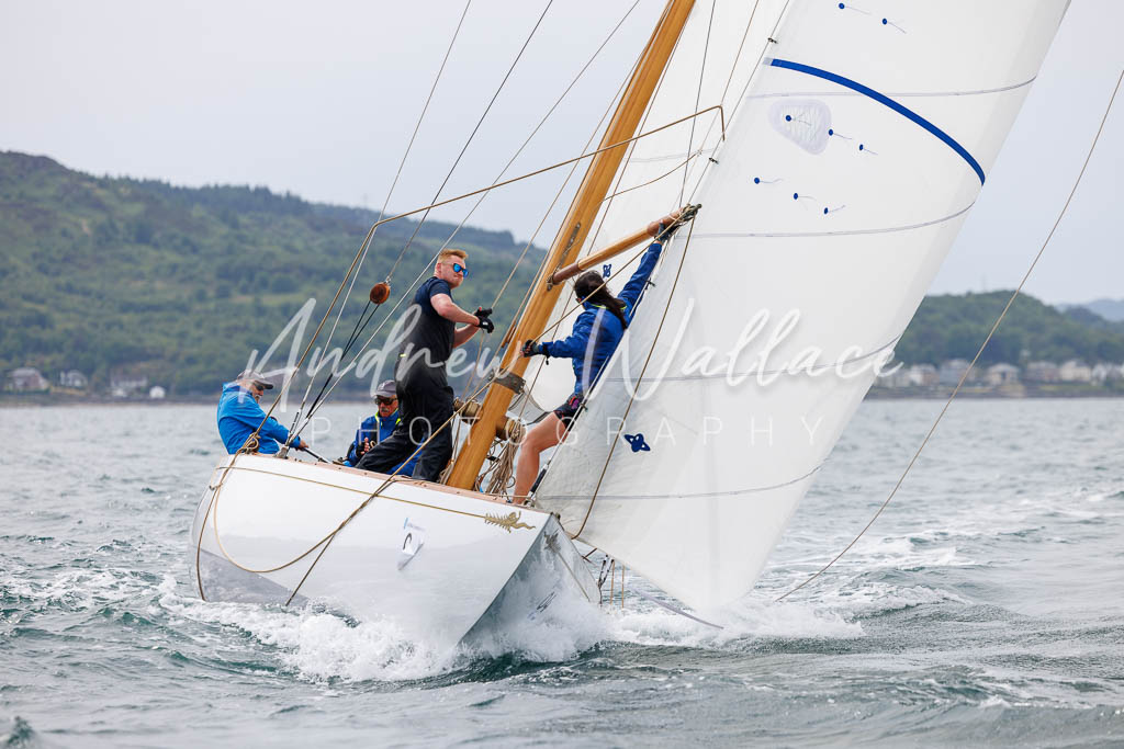 [SS25-432A7658] Fulmar