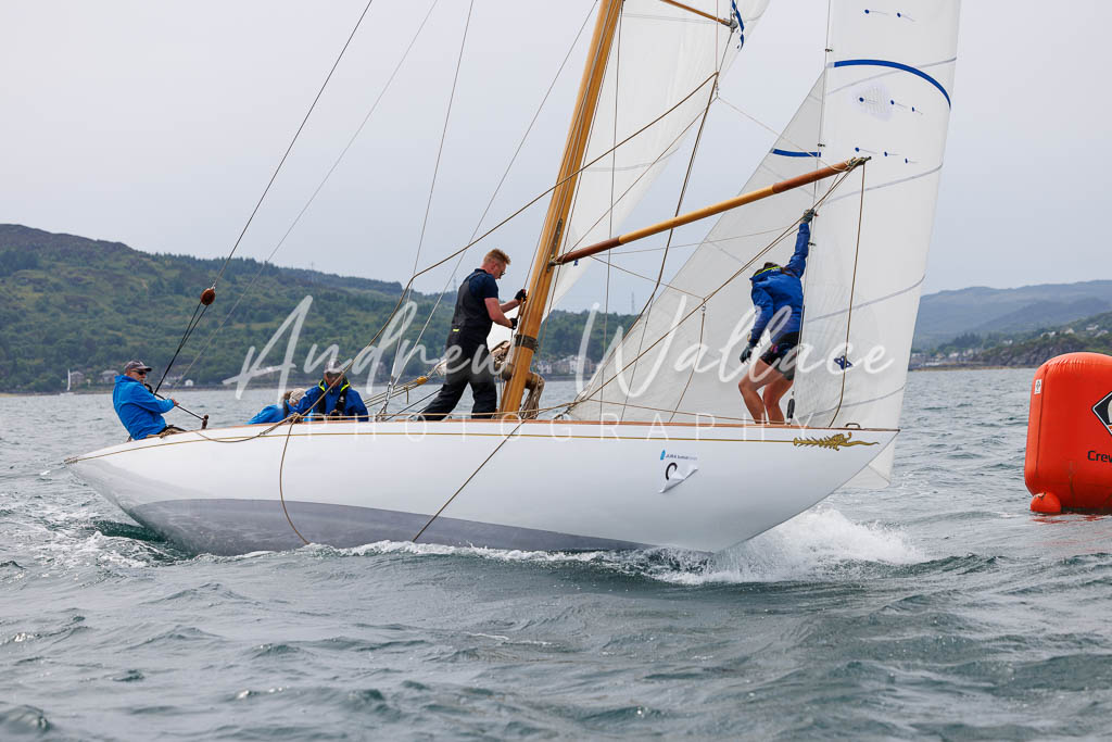 [SS25-432A7662] Fulmar