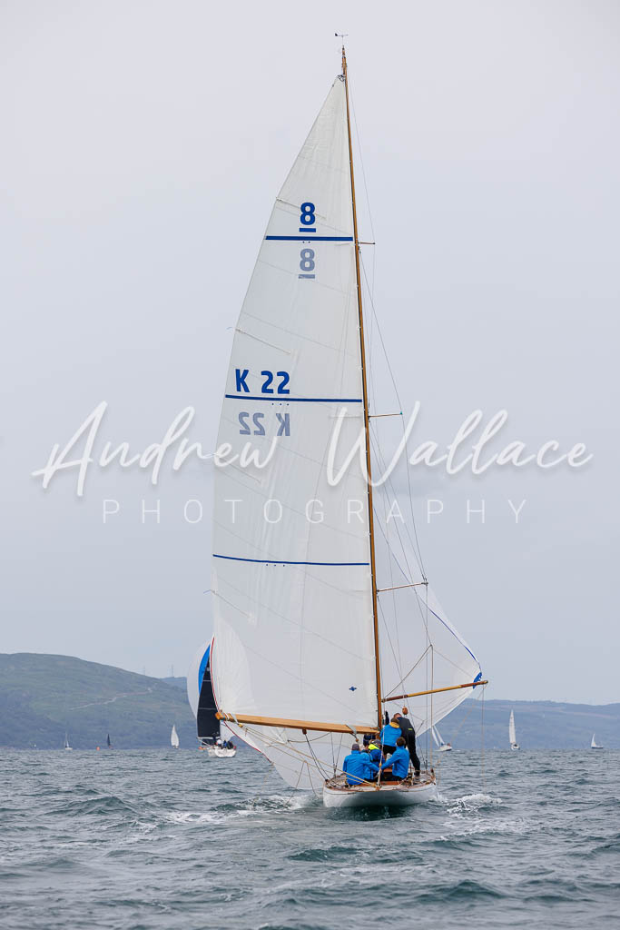 [SS25-432A7667] Fulmar