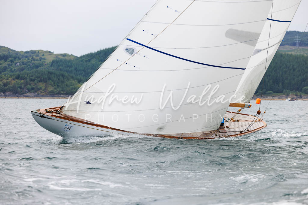[SS25-432A7838] Fulmar
