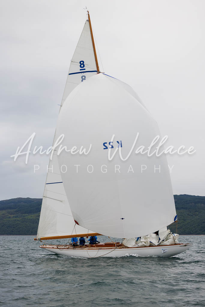 [SS25-432A7930] Fulmar