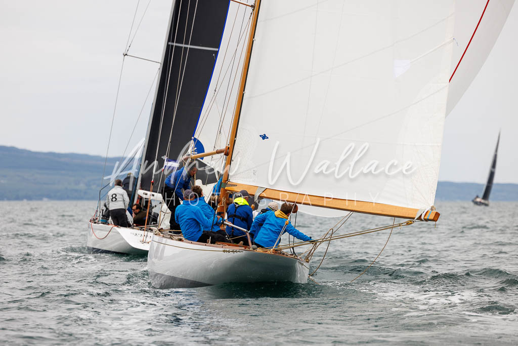 [SS25-432A7938] Fulmar