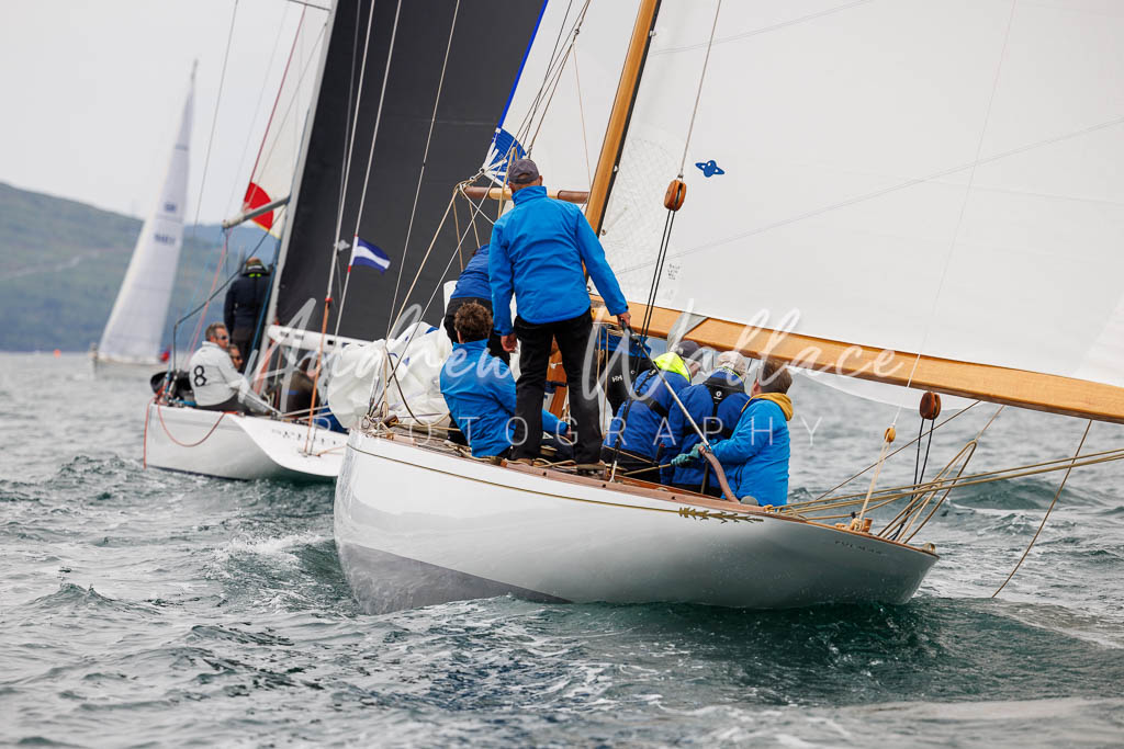 [SS25-432A7940] Fulmar and Spirit