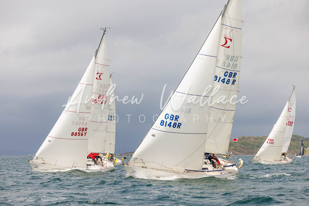 [SS25-432A8694] Squawk and Mayrise