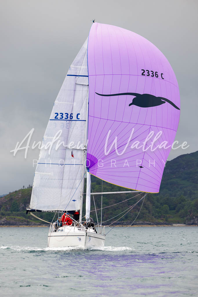 [SS25-432A8966] Shearwater
